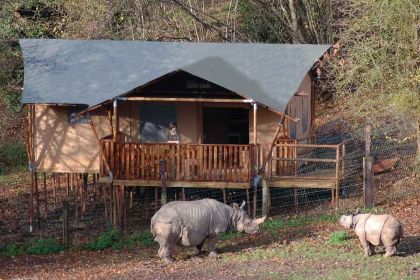 cerza safari en normandie