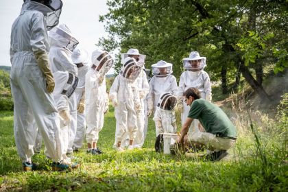 Huttopia Pays de Cordes sur Ciel