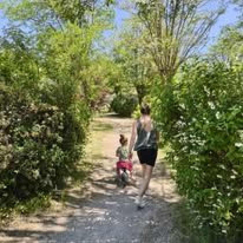 Le Hameau des Genêts