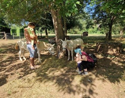 Le Hameau des Genêts