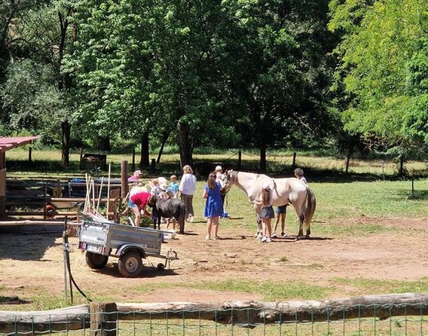 Le Hameau des Genêts