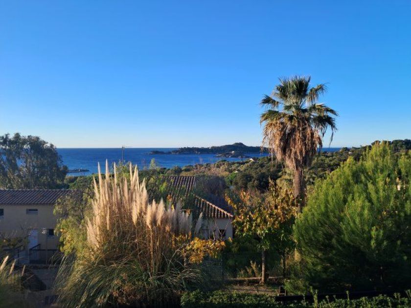 paysage