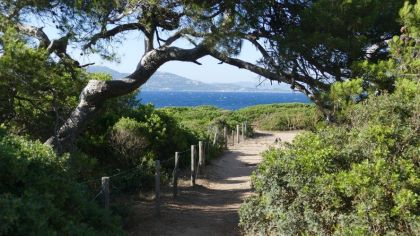 paysage