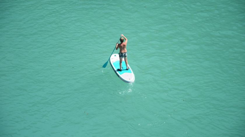 Surf