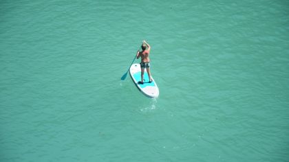 Surf