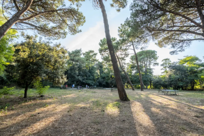 Camping les fougères