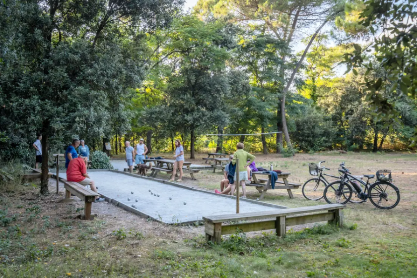 Camping les fougères
