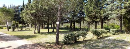 Camping Le Pinada