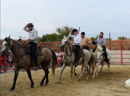 Camping Le Camarguais