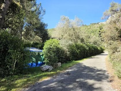 camping