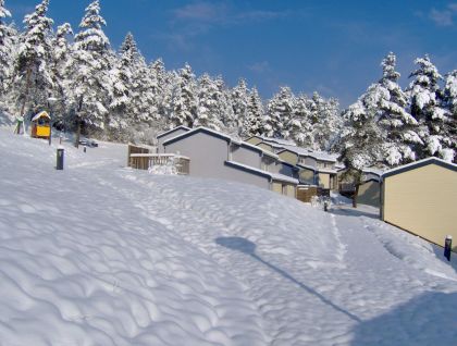 hiver
