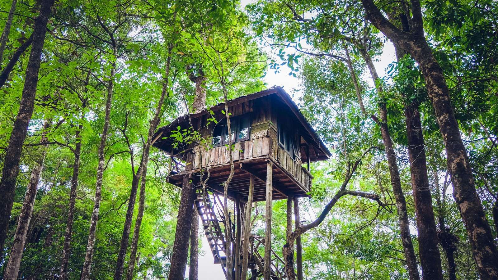 cabane perchée