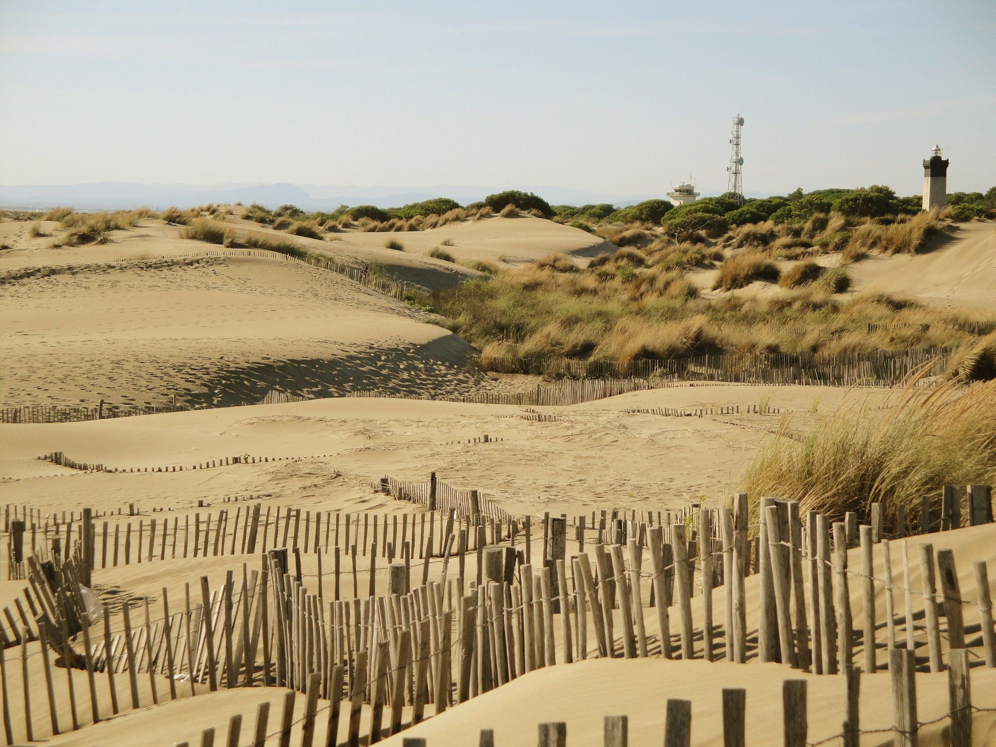 plage de l'Espiguette