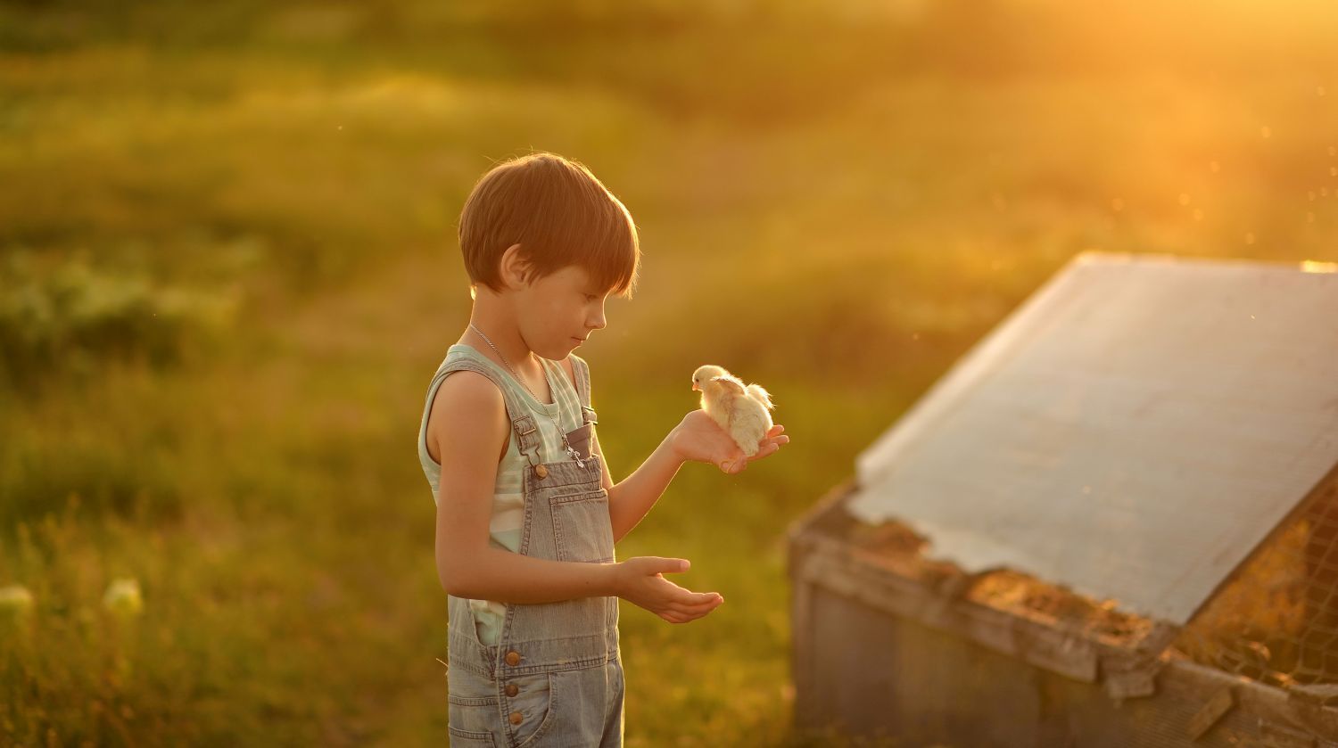 enfant poussin cerza