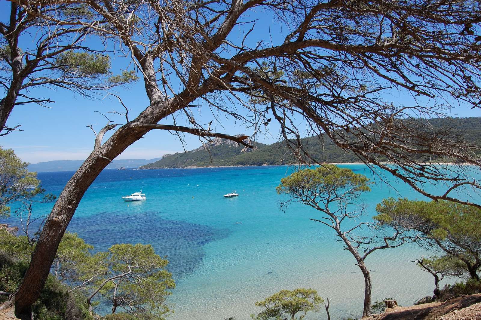 Porquerolle plage de notre dame