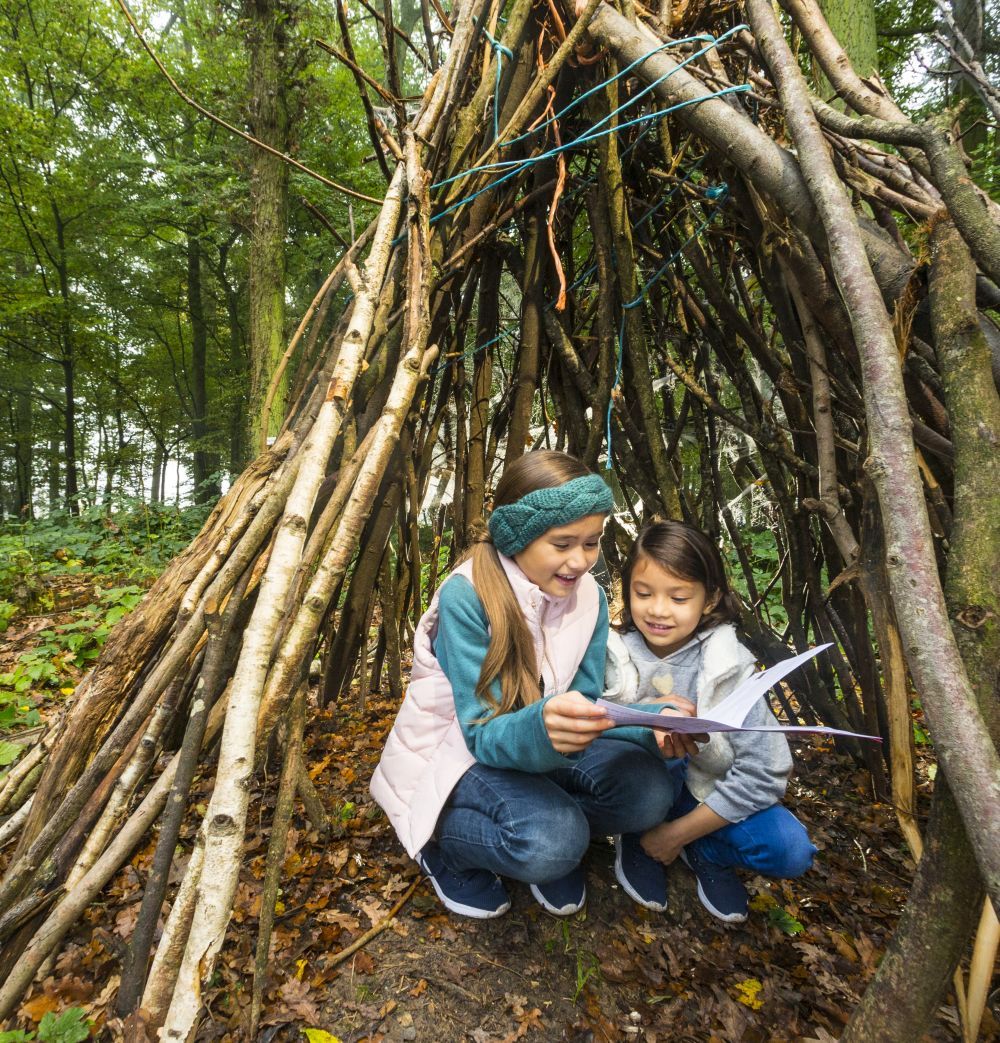 forêt cabane enfants