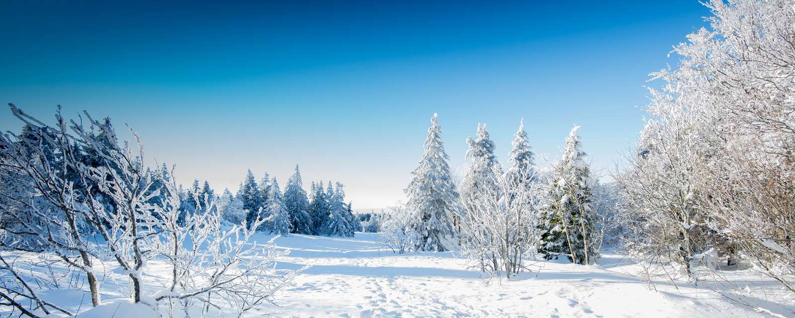 paysage neige ensoleillé