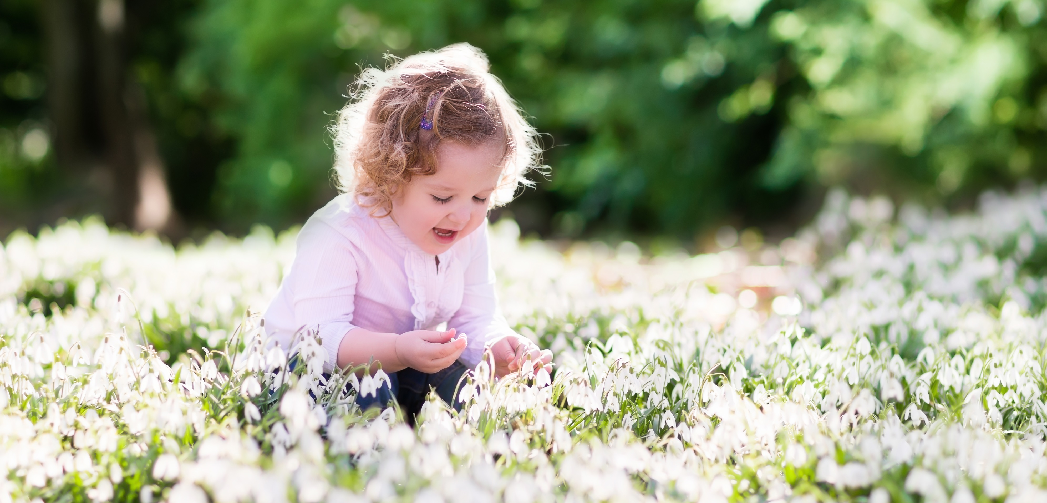 enfant cueillette champs de fleurs blanches