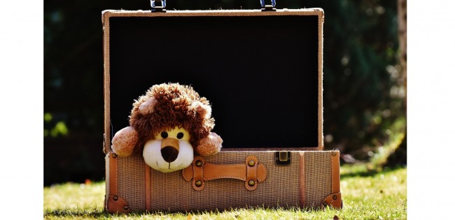 valise peluche lion